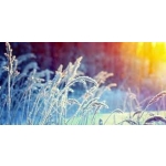 obrázek k článku: Co nás čeká v únoru